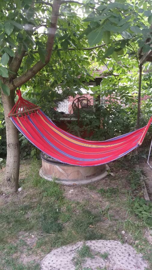 Popeye Vendeghaz Villa Mezőkövesd Dış mekan fotoğraf